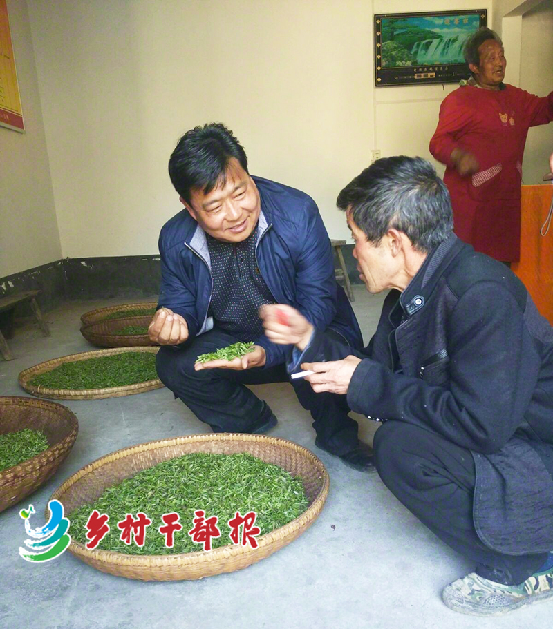 辛華（左）在種植戶家中查看茶葉品質(zhì)2.jpg